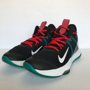 Nike Lebron Witness lV
